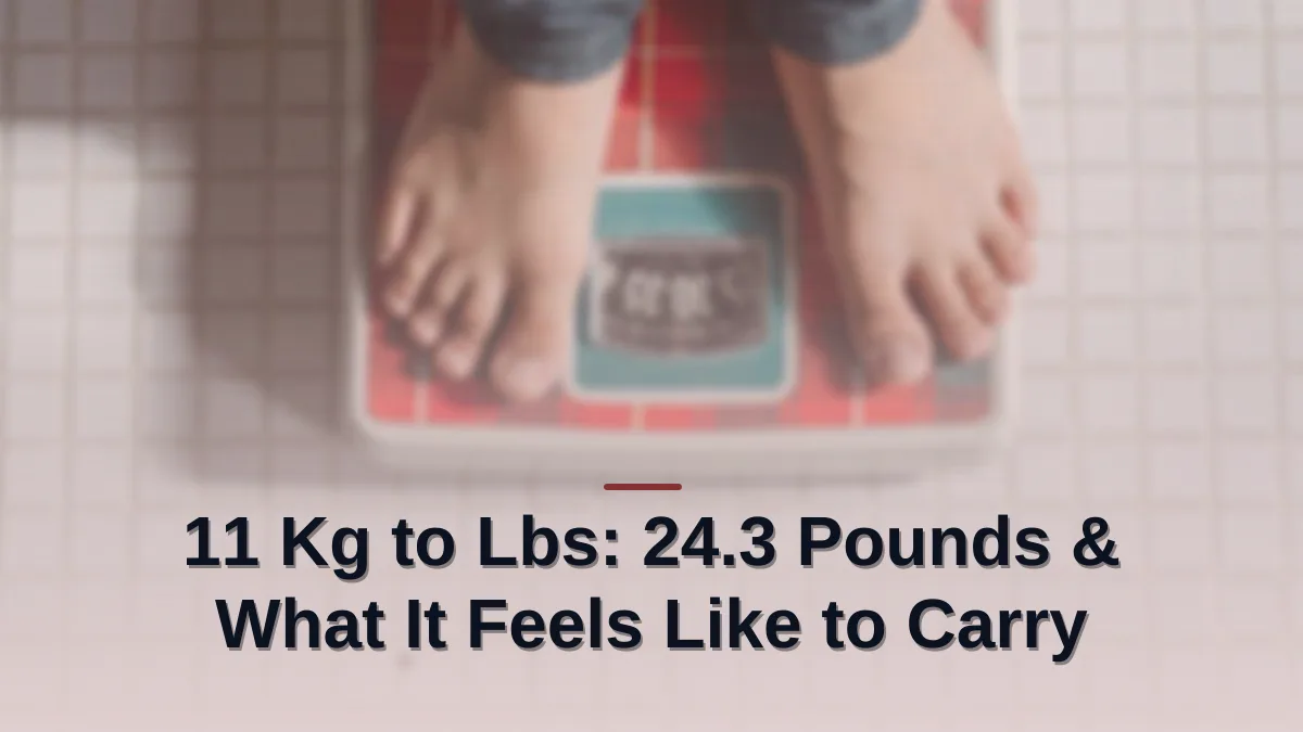 11 kg to lbs